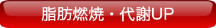 脂肪燃焼・代謝UP