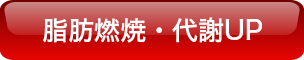脂肪燃焼・代謝UP