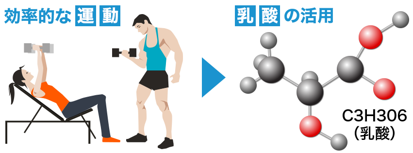 効率的な運動