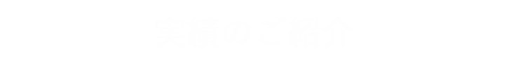 実績のご紹介